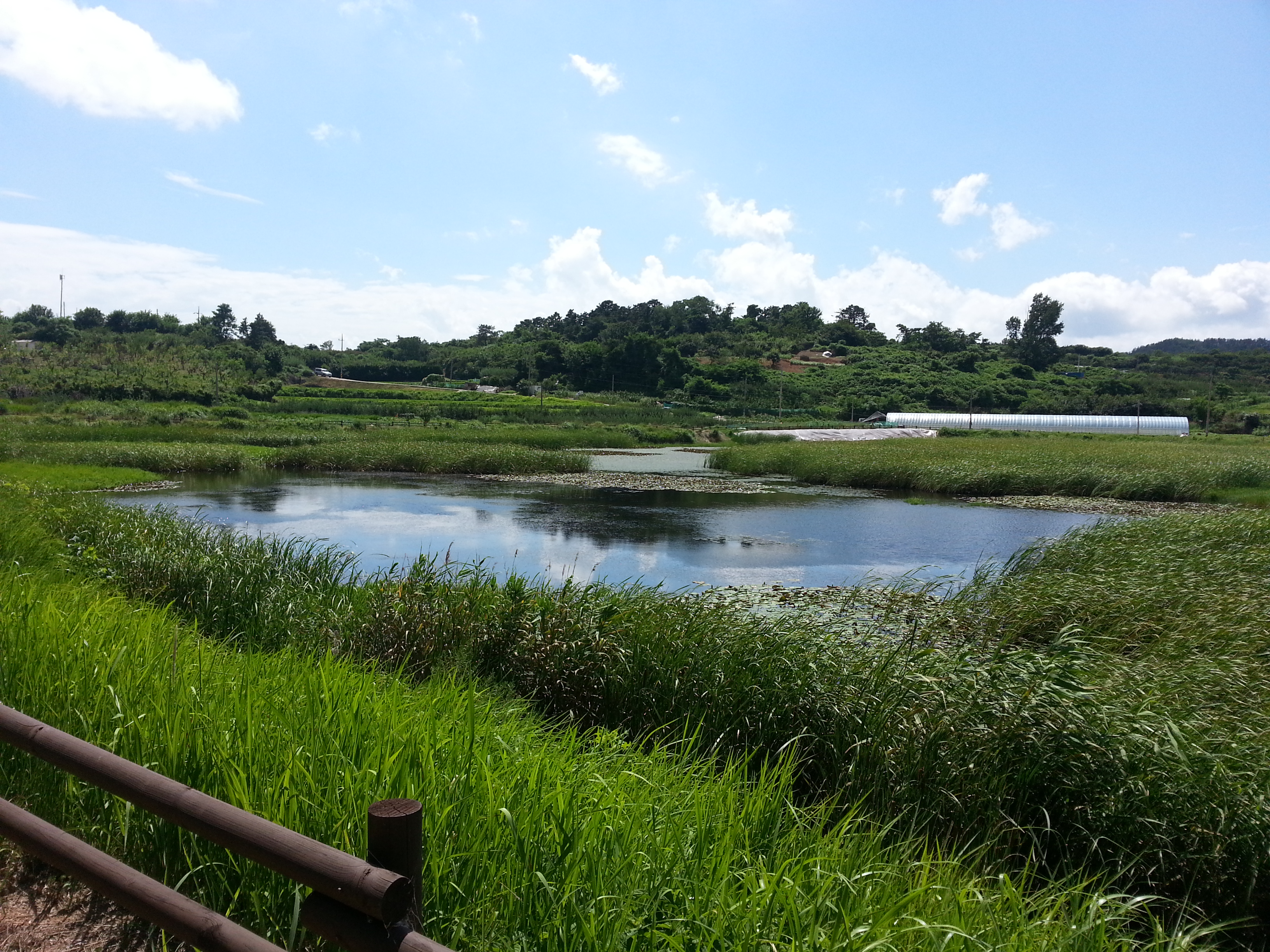 20130719_144113.jpg